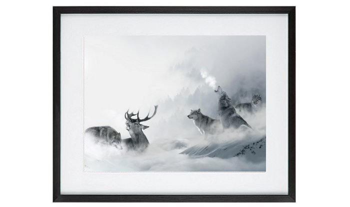 Pelican In Flight Framed Print